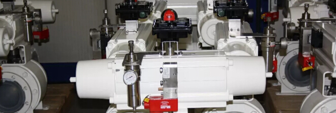 為什么OMAL這么受市場歡迎，熱銷背后的“密碼”破解！